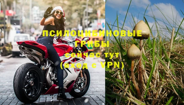 твердый Сатка