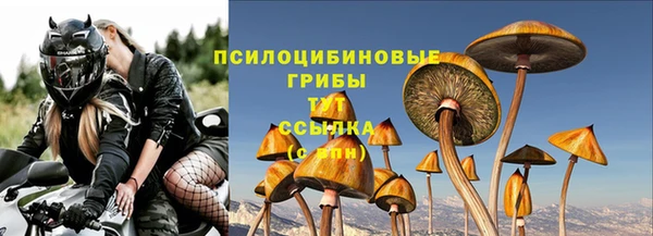 apvp Сафоново