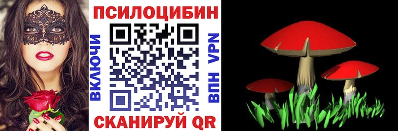 Купить где  Иваново  Галлюциногенные грибы прущие грибы 